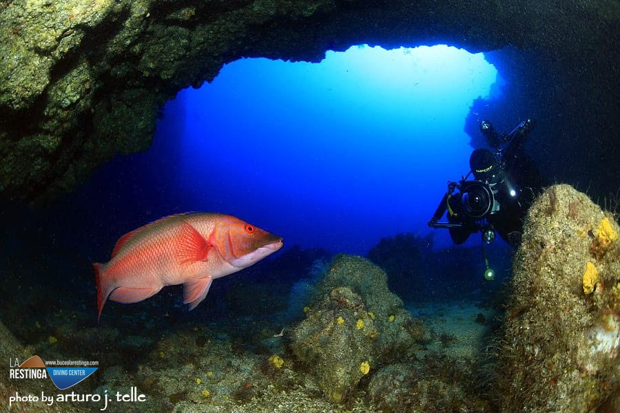 Cueva de Punta Restinga